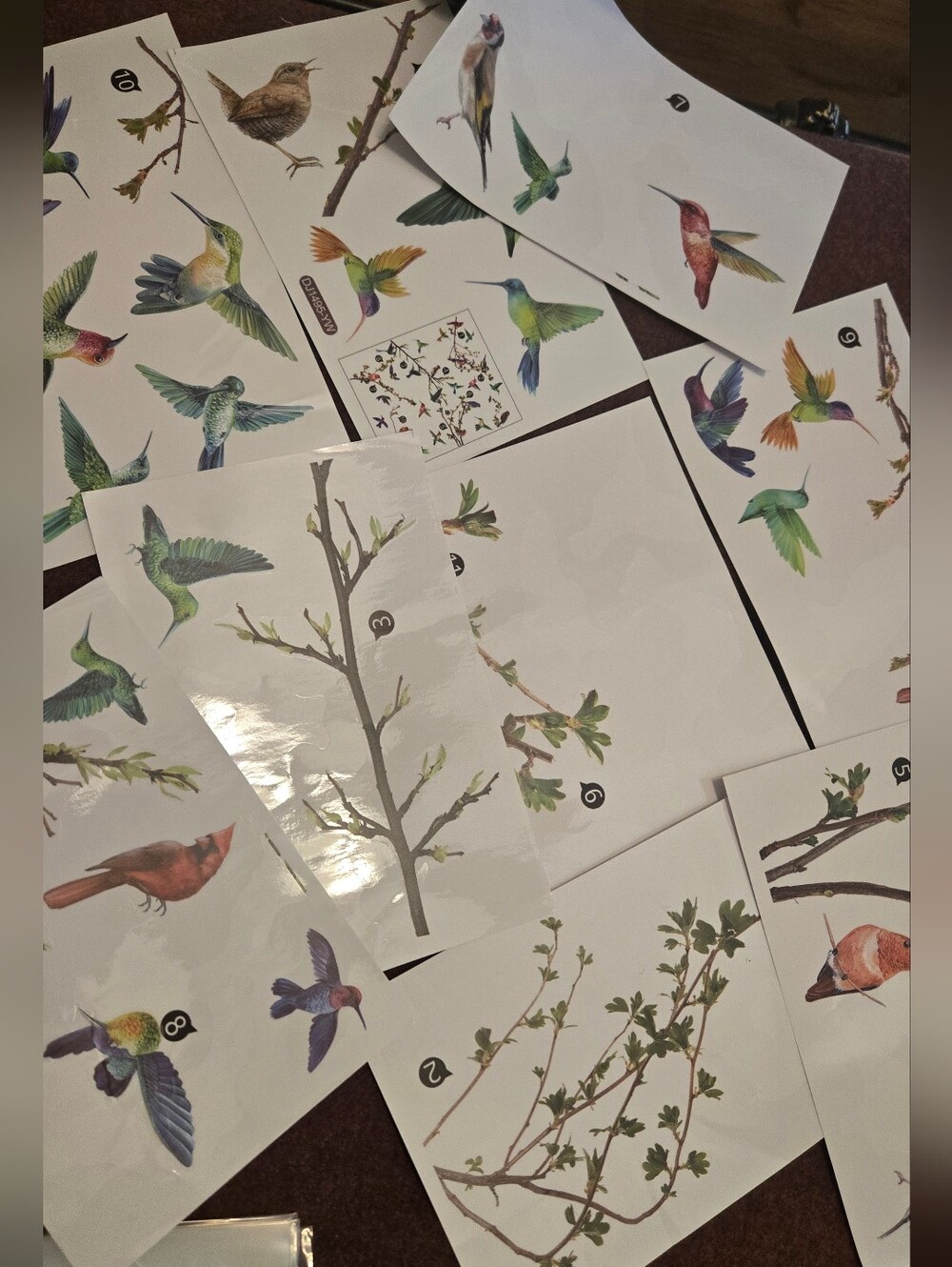 Bird & Branch Vinyl Window Clings Reusable No Adhesive